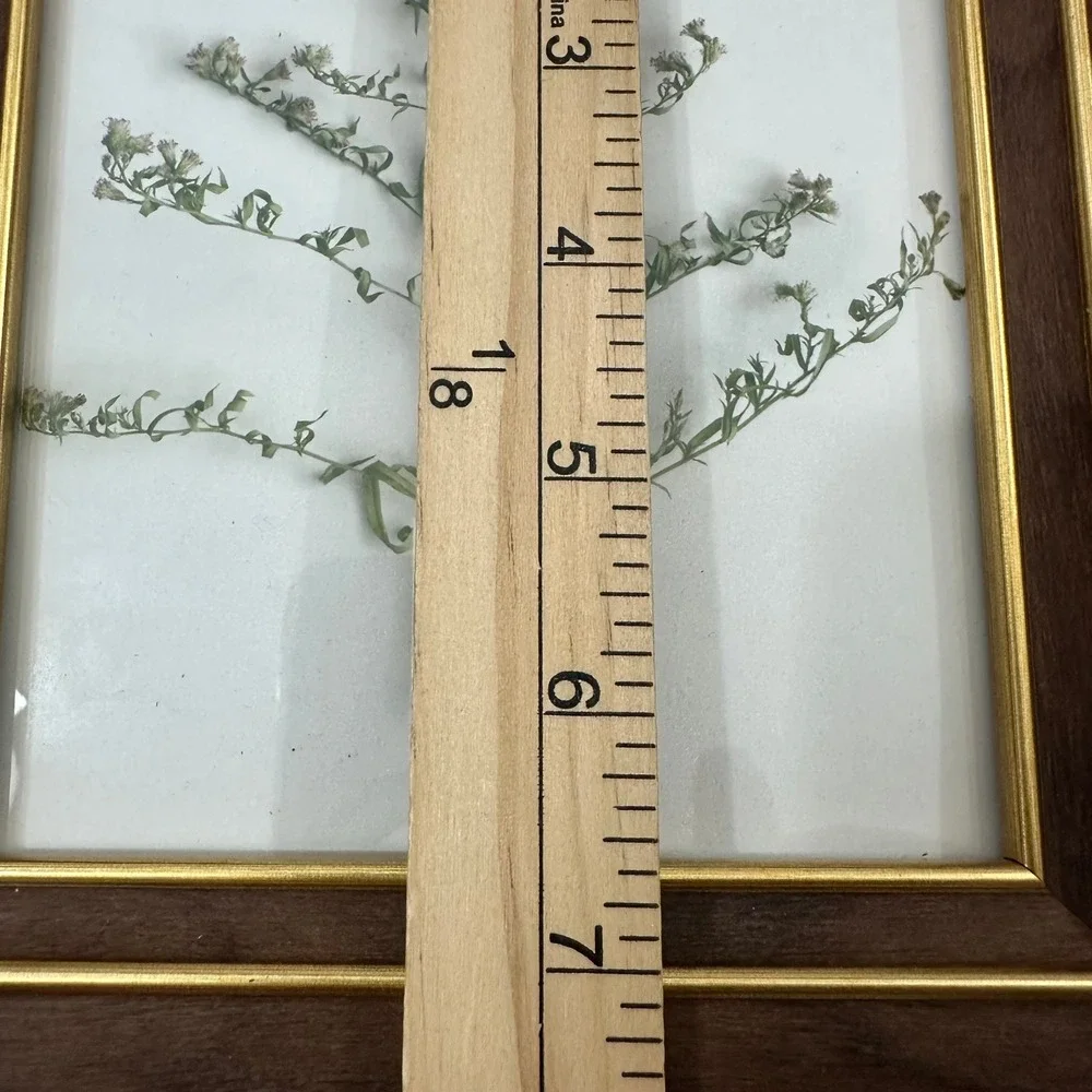 Umbra Wood Picture Frames Set of 3 Walnut Gold Trim 5x7 4x6 Tabletop Decor
